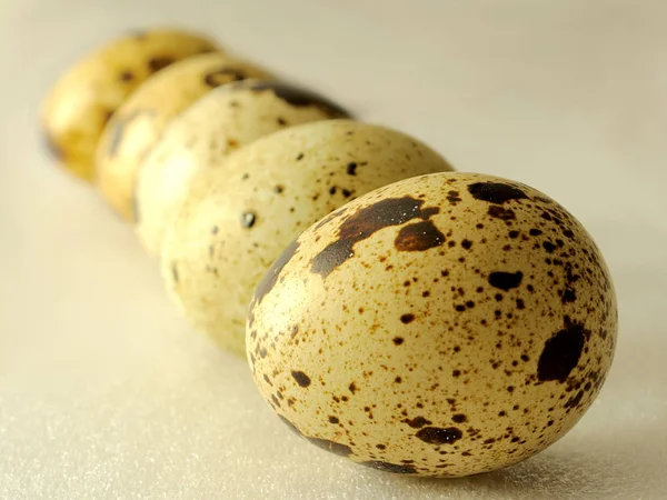 Row of five quail eggs — Stock Photo, Image