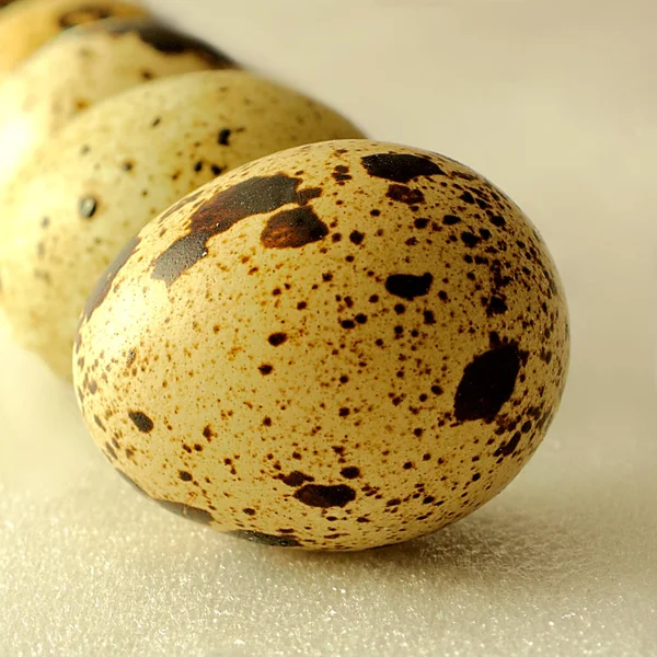 Satır dört Bıldırcın yumurta — Stok fotoğraf