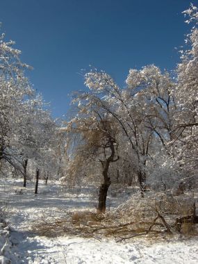Kış, kar, kar fırtınası sonra sonra doğada
