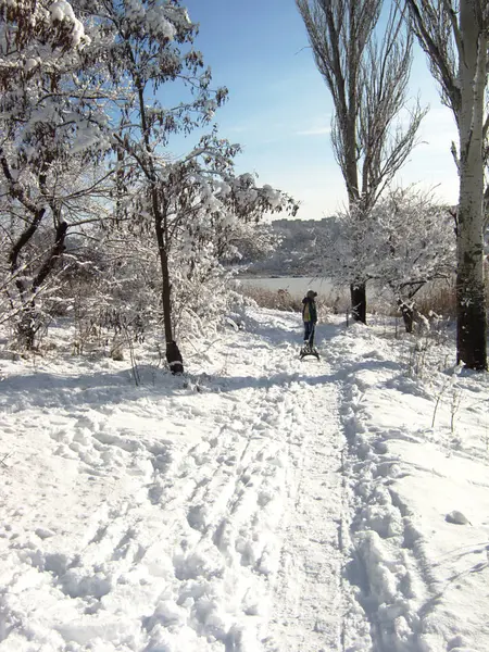 Doğada kış, kar yağışı, iz sledging için sonra — Stok fotoğraf