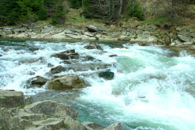 ormandaki nehir dağ yaz hiking yollar, river rapids, keskin kayalar