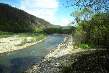 dağ nehir dağlarda yaz hiking rotaları, orman ve nehir yatağı