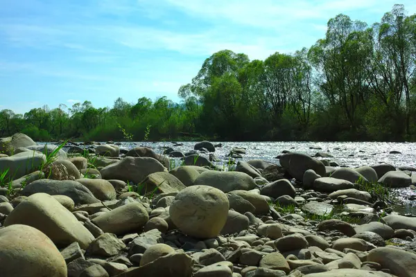 Hegyi folyó, nyáron a túraútvonalak, folyóparton, kő — Stock Fotó