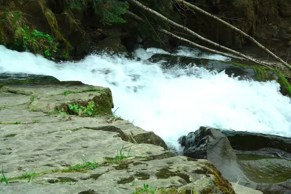 Río de montaña y un lago en el bosque, rutas de senderismo de verano, arroyo furioso de agua — Foto de Stock