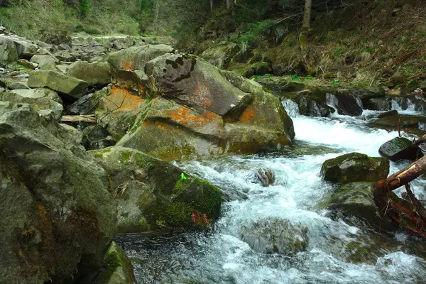 Rio de montanha e lago na floresta, trilhas para caminhadas de verão, corredeiras — Fotografia de Stock
