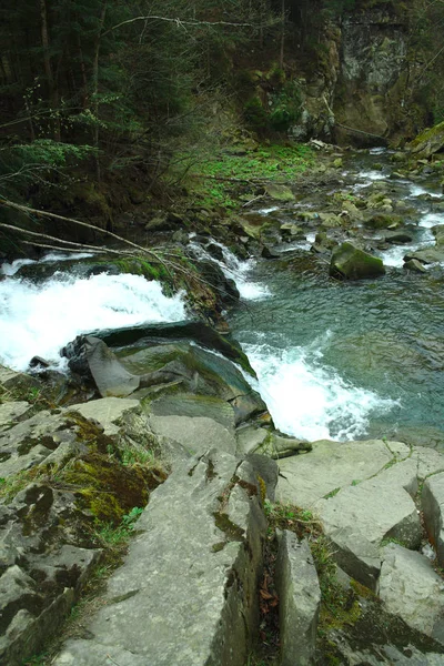 Río y lago de montaña en el bosque, rutas de senderismo de verano, cascada — Foto de Stock