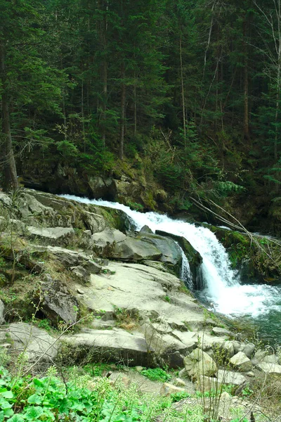 Río de montaña en el desfiladero, rutas de senderismo de verano, cascada — Foto de Stock