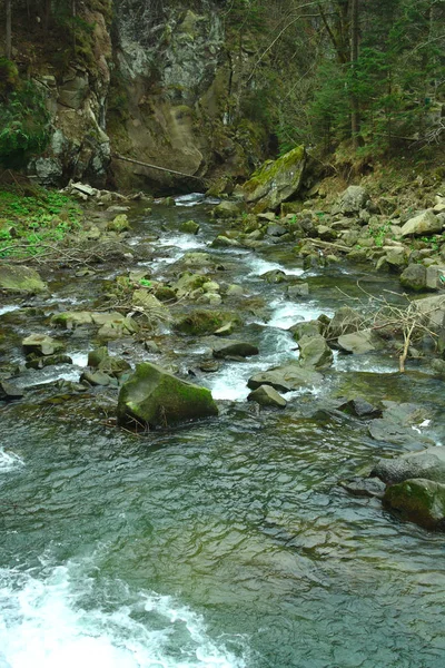 Río de montaña en el desfiladero, rutas de senderismo de verano — Foto de Stock