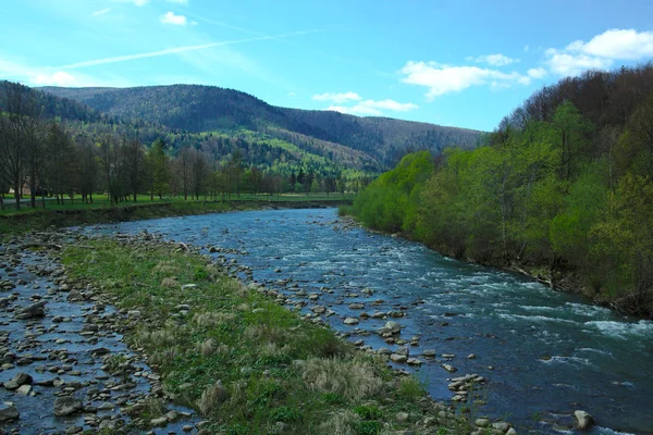 Rivière de montagne dans les montagnes, sentiers de randonnée d'été, lit de la rivière, forêt — Photo