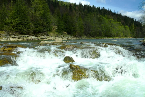 Río de montaña en las montañas, rutas de senderismo de verano, rápidos fluviales, bosque en las orillas — Foto de Stock