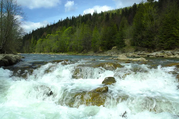 Gebirgsfluss in den Bergen, Sommerwanderwege, Stromschnellen, Wald — Stockfoto