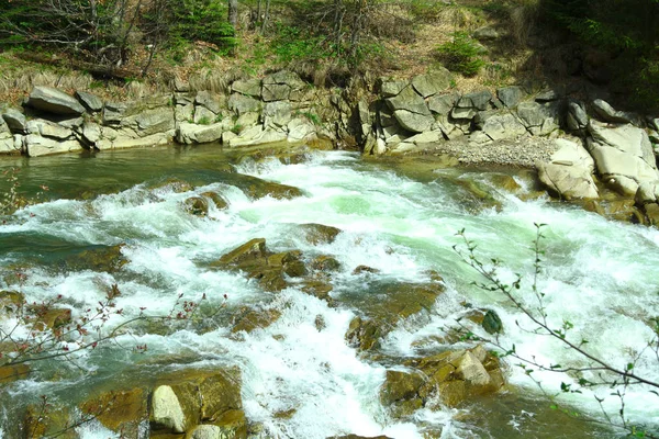 Dağ nehir dağlarda yaz hiking rotaları, river rapids — Stok fotoğraf