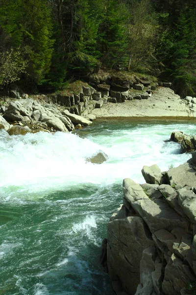 Río de montaña, rutas de senderismo de verano, rápidos de río, agua de espuma, costa rocosa — Foto de Stock