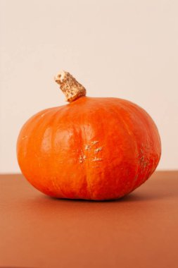 Beyaz doğal arka planda olgun turuncu balkabağı. Dikey.