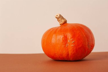 Beyaz doğal arka planda olgun turuncu balkabağı. Yatay.