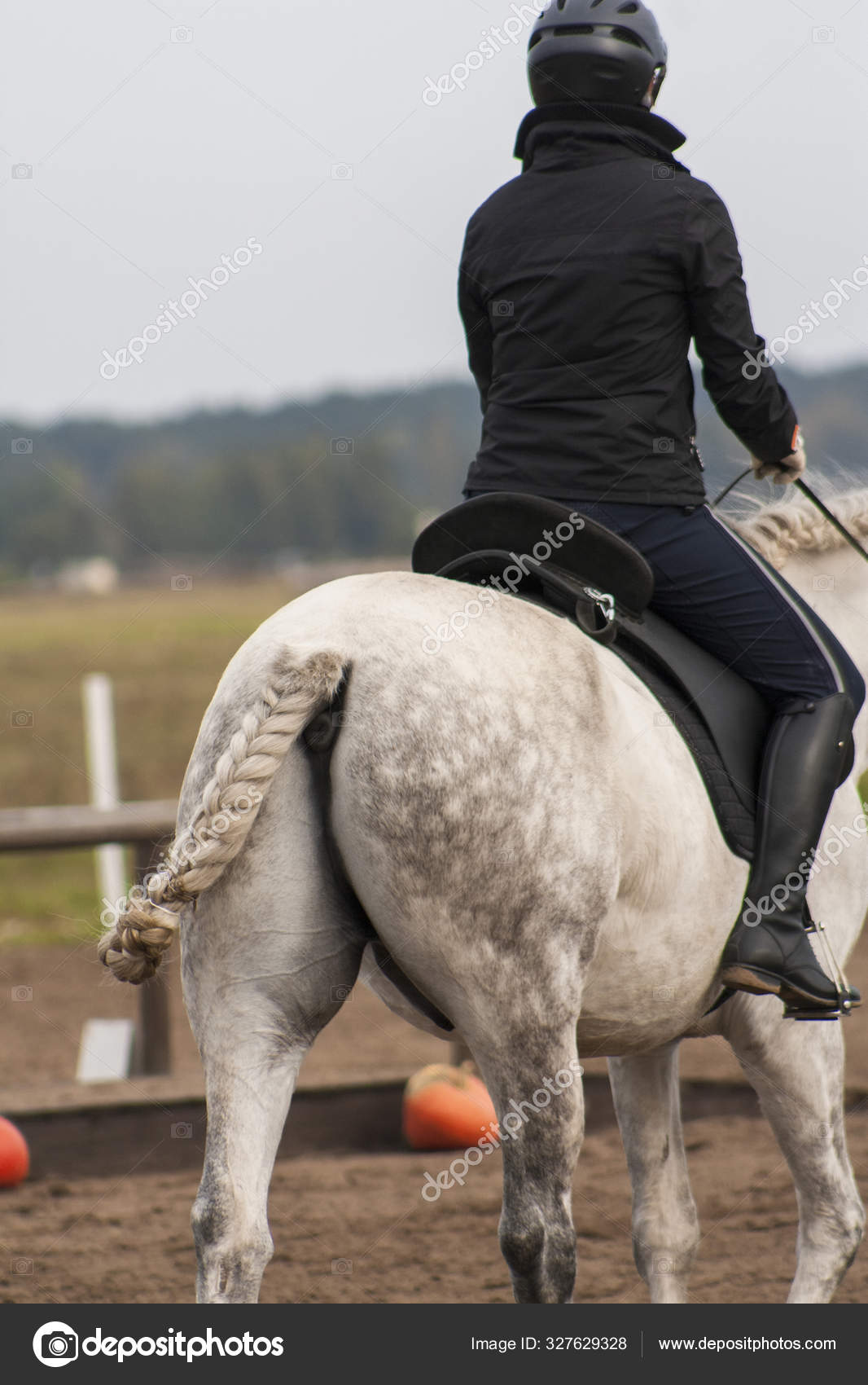 Sonhar Com Alguém Montado No Cavalo Mulher Monta Cavalo Andaluz Branco Com Cauda Entrelaçada Arena Livre