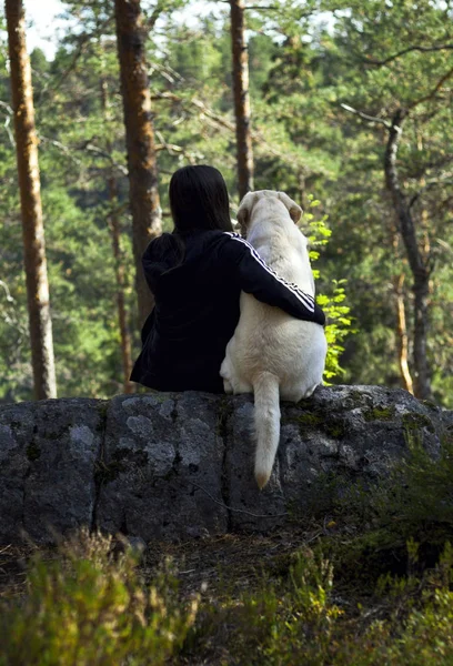 Kız güneşli ormanda oturan altın labrador köpeğine sarılıyor. Arkaya bak..