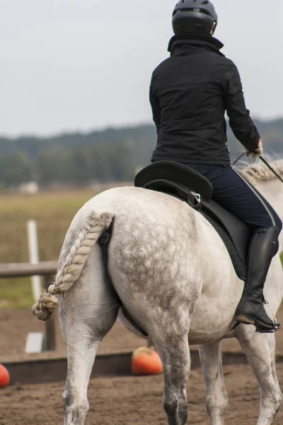 Kvinna Rider Vit Andalusisk Häst Med Flätad Svans Utomhusarenan Utsikt — Stockfoto