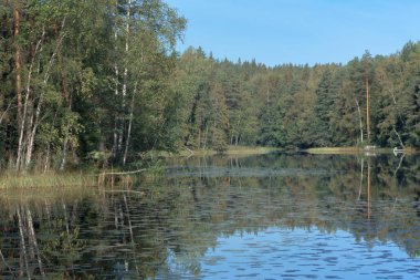 Yazın sonlarında Finlandiya 'daki Nuuksio Milli Park Gölü manzarası.