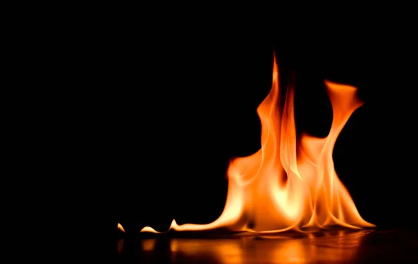 alevler siyah arkaplanda.