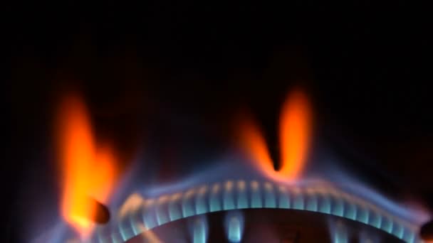 Gas Burner On Stove — Stock Footage Gas Burner On Stove Royalty Free Stock Footage