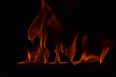 Siyah arka plan üzerine izole soyut yangın alevleri