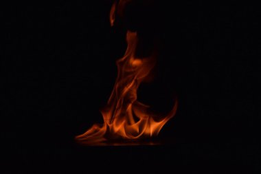 Siyah arka plan üzerine izole soyut yangın alevleri