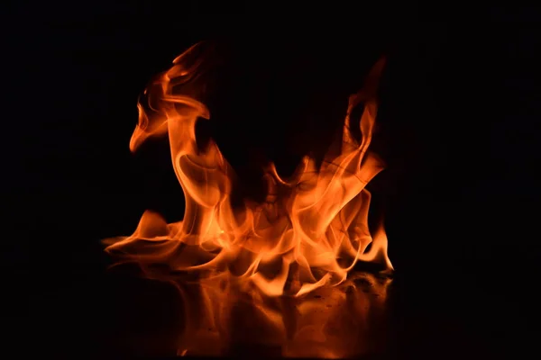 Abstrakte Feuer Flammen Isoliert Auf Schwarzem Hintergrund — Stockfoto