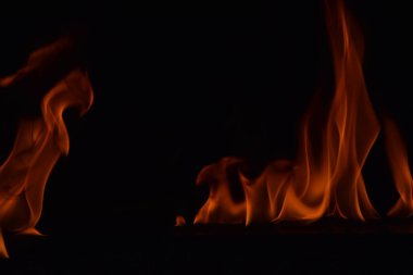 Siyah arka plan üzerine izole soyut yangın alevleri