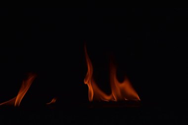 Siyah arka plan üzerine izole soyut yangın alevleri