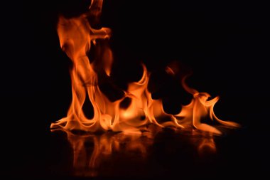 Siyah arka plan üzerine izole soyut yangın alevleri