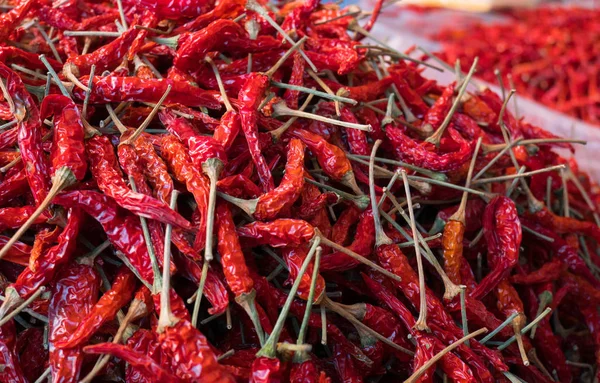 Czerwone suche chili — Zdjęcie stockowe