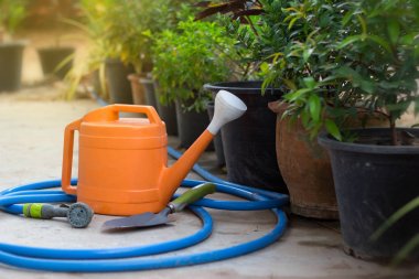 Sulama ve trovel bitki veya Bahçe, ağaç için