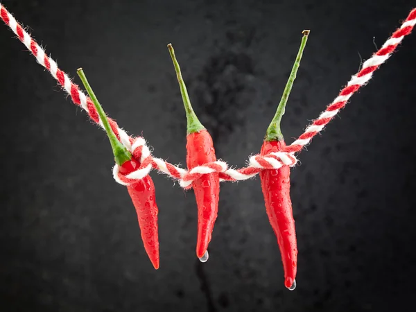 Hot red chili peppers Royalty Free Stock Images