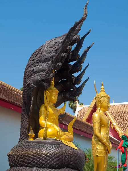 Wat phra hogy panom: Nakhon Phanom — Stock Fotó