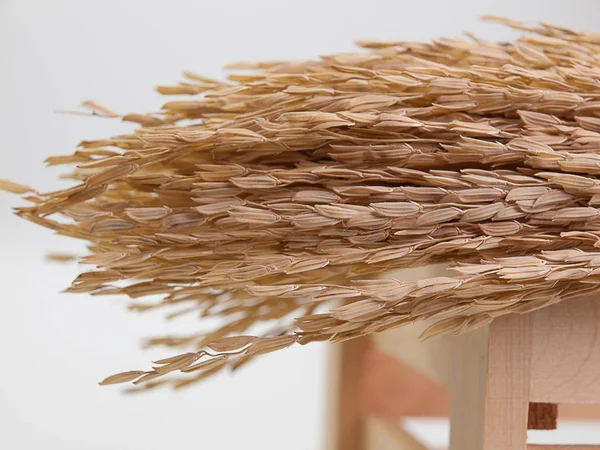 Closeup Raw organic paddy rice on wooden table. — Stock Photo, Image
