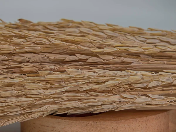 Closeup Arroz paddy orgânico cru na mesa de madeira . — Fotografia de Stock