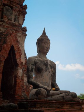 Buda'nın kafasından ağaç kök. Tayland. Tapınağı Pagoda Ayutthaya, Tayland.