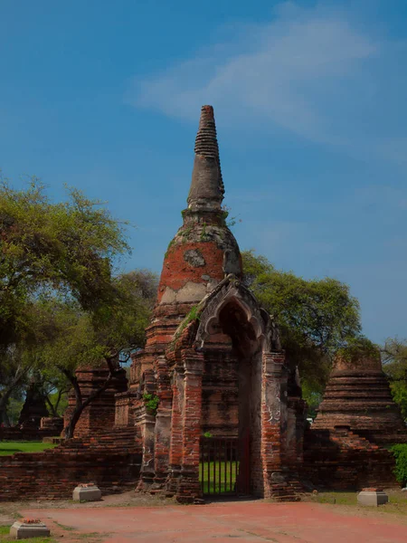Buddha-fej, a fa gyökerét. Thaiföld. Templom Pagoda, Ayutthaya, Thaiföld. — Stock Fotó