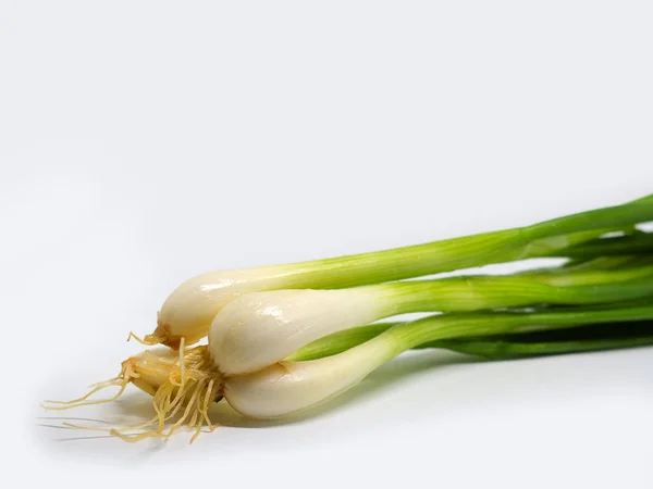 Close Up, Spring onions . — стоковое фото