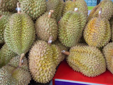 -Durian meyve kapat.