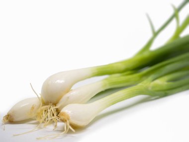 Yakın kadar taze soğan.