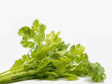 Demet taze kişniş yaprakları.