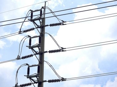 Portre, elektrik direkleri