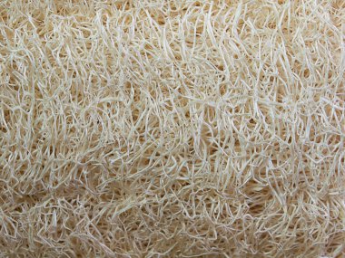 Lif kabağı vücut fırçalayın, bodur cilt ve spa için. 