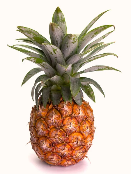 Reife Ananas, gesunde Früchte. — Stockfoto