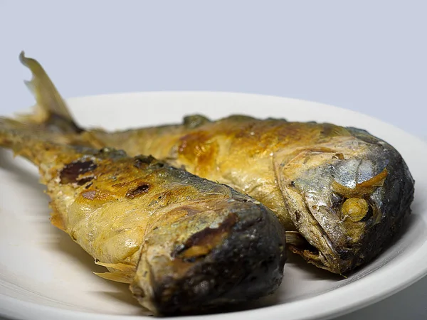 Mackerel fish from Andaman sea. — Stock Photo, Image