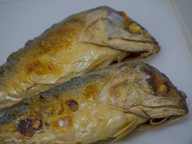 Andaman Denizi closeup uskumru balığı.