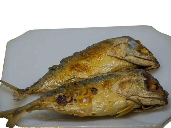 Makrelenfisch aus dem andamanischen Meer. — Stockfoto