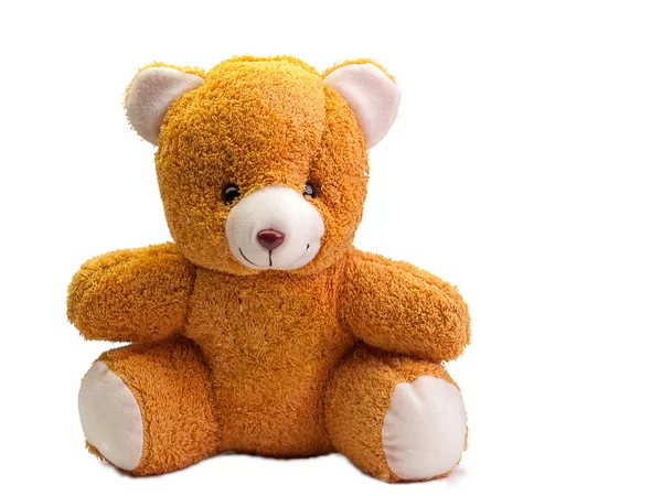 Juguete oso de peluche . — Foto de Stock